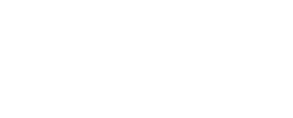 Zanchin Automotive Group